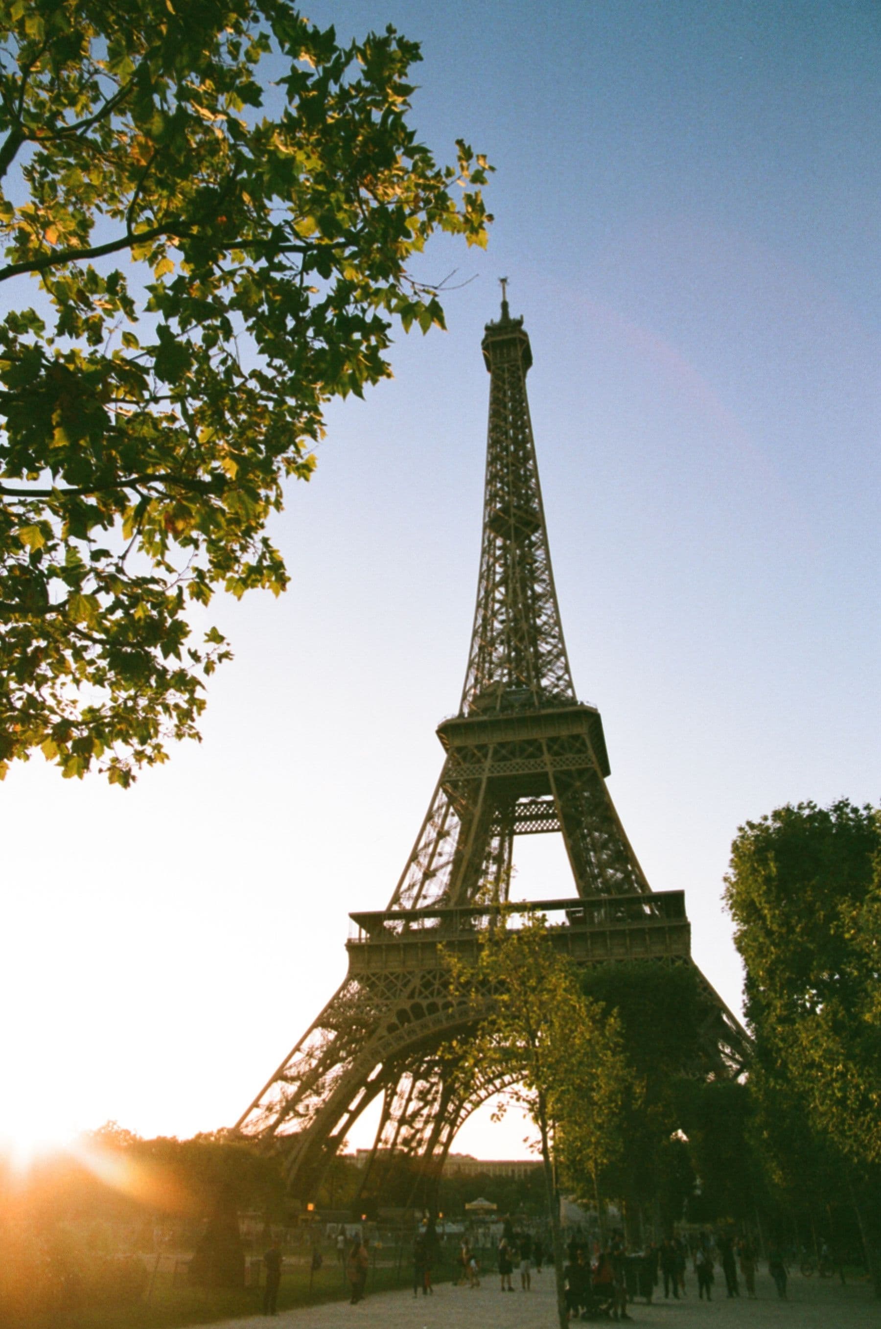 The Eiffel Tower at golden hour.